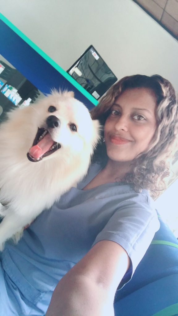 gya-veterinaria-palmira